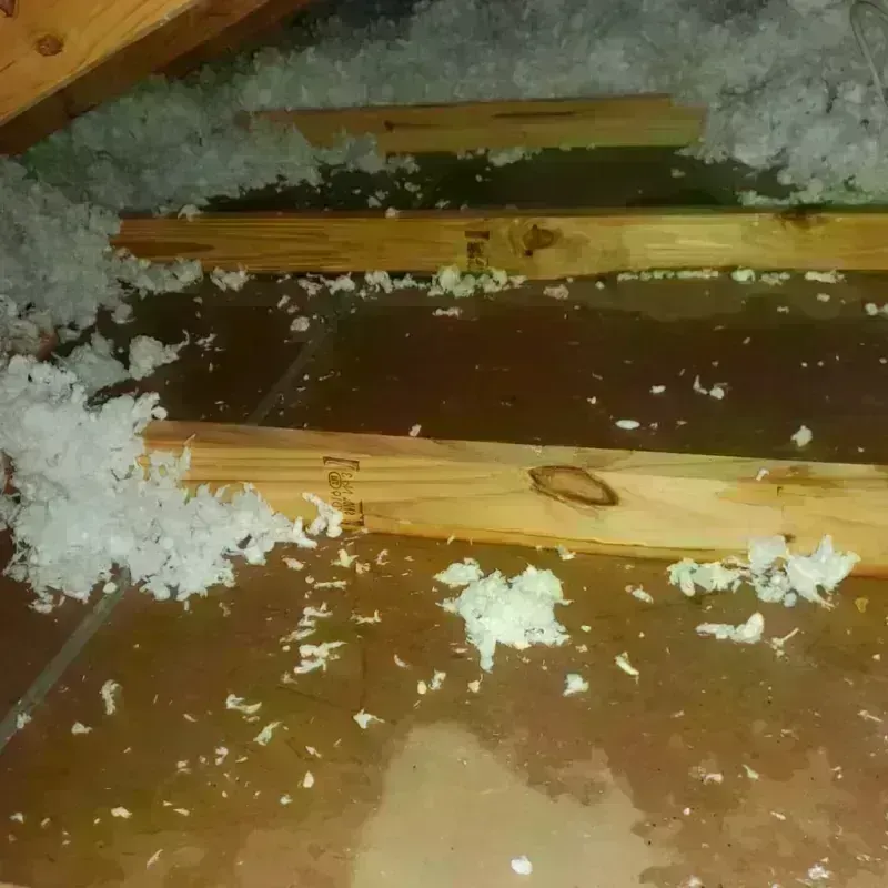 Attic Water Damage in Vernon, AL