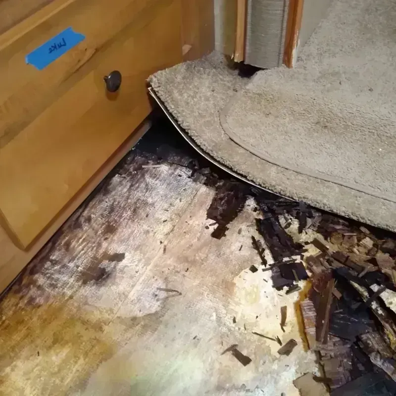 Wood Floor Water Damage in Vernon, AL